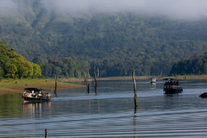 Top 10 places to visit in Thekkady